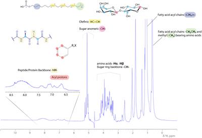 Multi-method biophysical analysis in discovery, identification, and in-depth characterization of surface‐active compounds